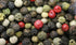 PEPPERCORN GOURMET BLEND